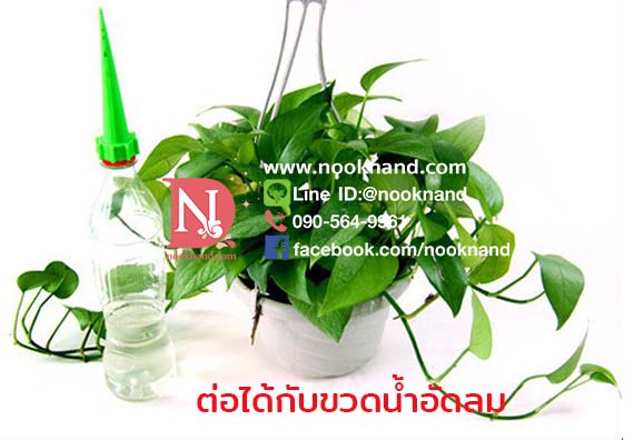 ٻҾ2 ͧԹ : (1ش4)ػóôӵͧ Ѻ (ôҹ)Garden Cone Watering Spike Plant Waterers Bottle Irrigation System