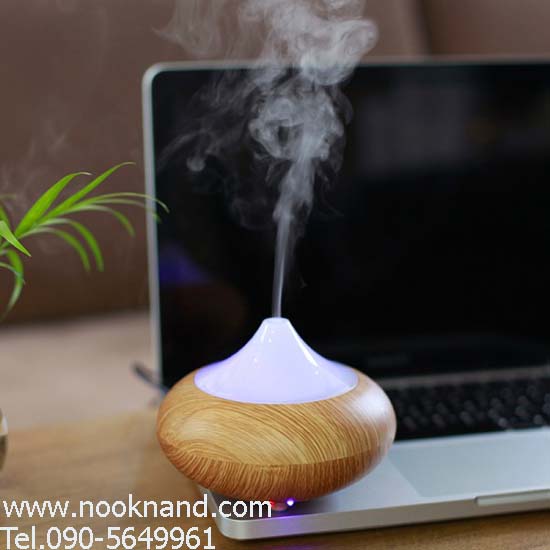 ٻҾ3 ͧԹ : ҷçԴPyramid Aroma diffuser