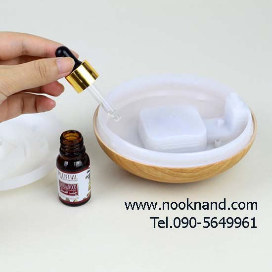 ٻҾ4 ͧԹ : ҷçԴPyramid Aroma diffuser